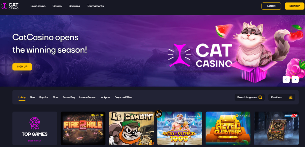 cat casino home page official site